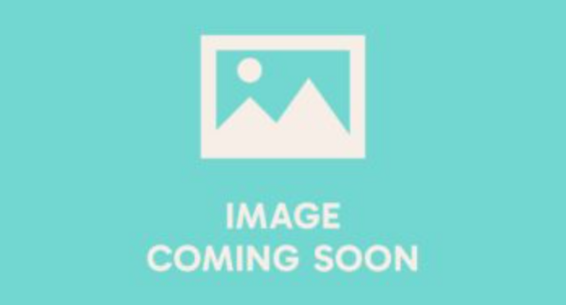 Blank picture describing that image is coming soon